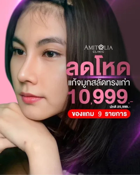 โปรแก้จมูก