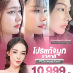 โปรแก้จมูก